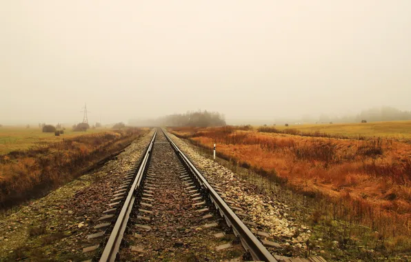 Дорога, поле, туман