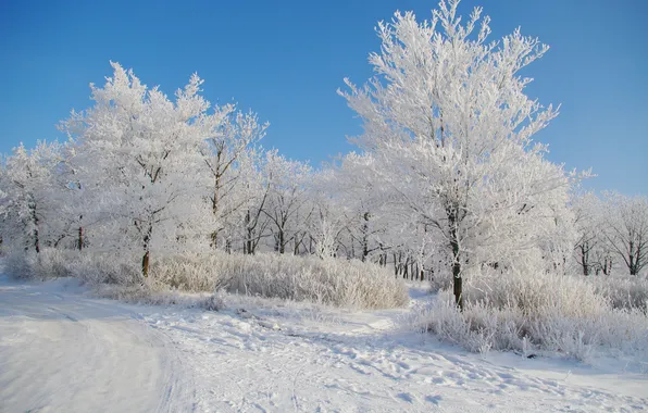 Картинка снег, Зима, утро