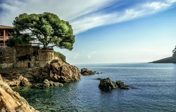 Картинка море, небо, дом, камни, дерево, берег, горизонт, Испания