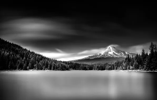 Лес, озеро, гора, черно-белое фото, Trillium Lake