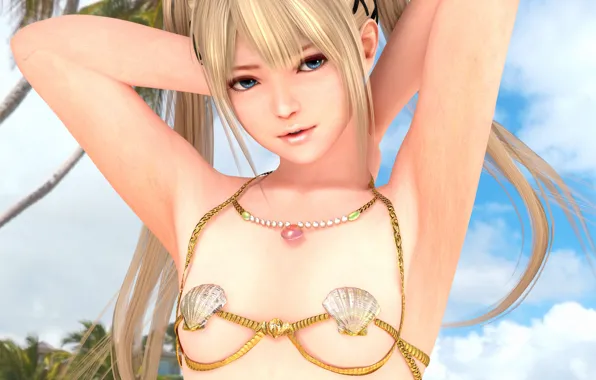 Girl, sexy, Anime, dead or alive, long hair, beautiful, pretty, erotic