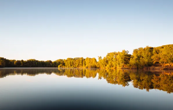 Sky, trees, lake, reflection, mirror