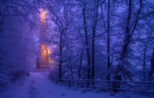 Зима, снег, деревья, Германия, Germany, Trier, Трир, St Mary's Column