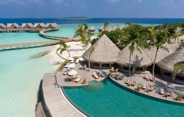 Пальмы, океан, остров, бассейн, Мальдивы, курорт, лагуна, Maldives