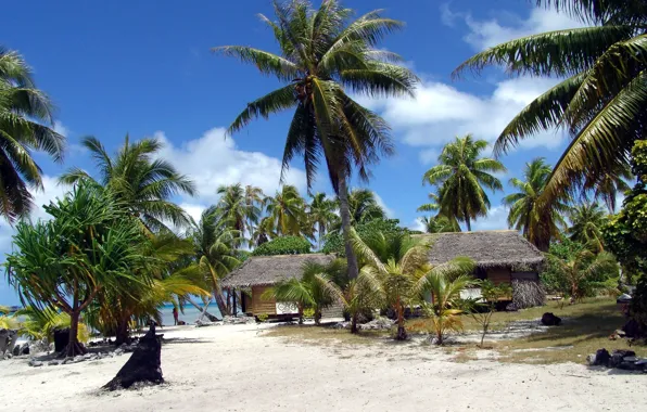 Картинка пляж, пальмы, французкая полинезия