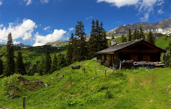Картинка небо, трава, облака, деревья, горы, Швейцария, Альпы, домик