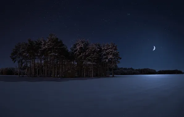 Картинка зима, деревья, ночь