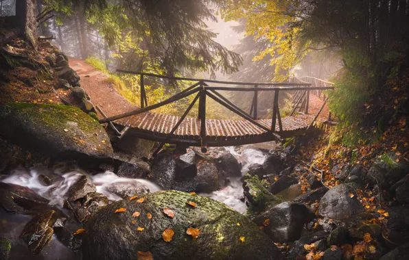 Картинка осень, листья, деревья, горы, природа, ручей, камни, дорожка