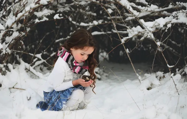 Картинка снег, гнездо, девочка
