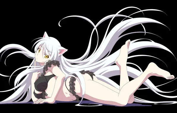 Девушка, лежит, Bakemonogatari