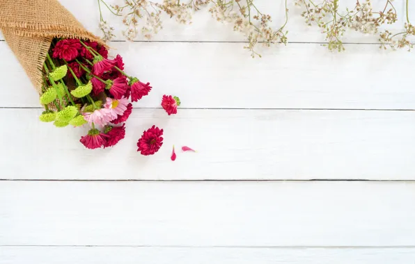 Цветы, fresh, хризантемы, wood, flowers, beautiful, spring