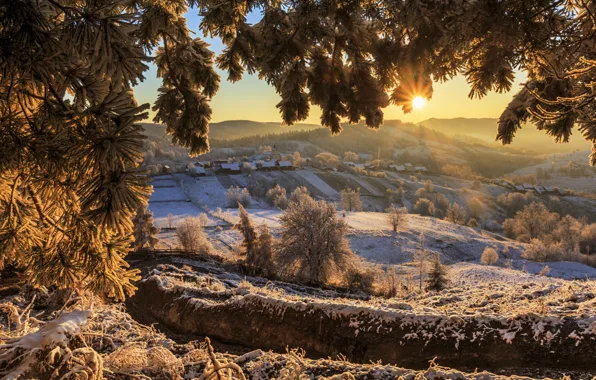 Картинка зима, солнце, лучи, снег, деревья, пейзаж, горы, ветки
