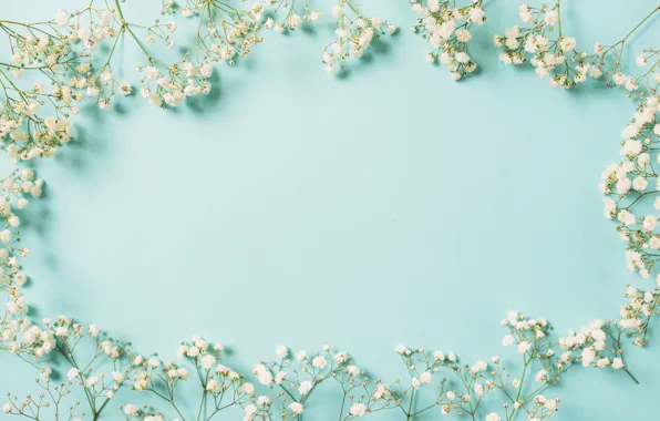 Картинка цветы, фон, рамка, white, белые, flowers, spring, frame