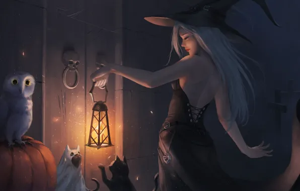 Картинка девушка, кошки, сова, шляпа, платье, дверь, арт, фонарь
