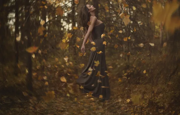 Картинка осень, лес, листья, девушка, вихрь