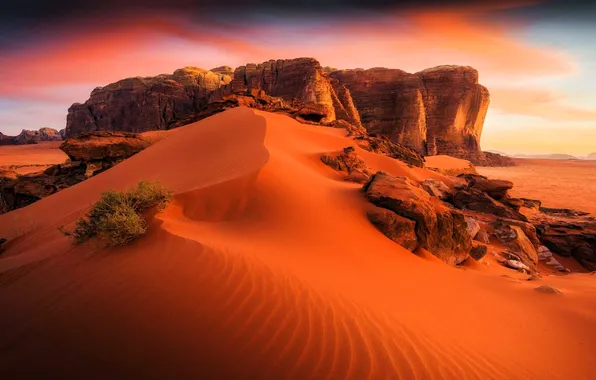 Закат, скалы, пустыня, кусты, пески, Jordan, Иордания, Wadi Rum