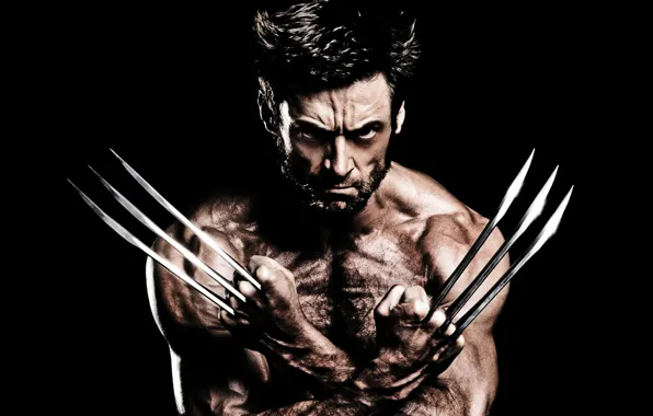 Картинка Wolverine, Hugh Jackman, X-Men, Logan, Marvel, Movie, X Men