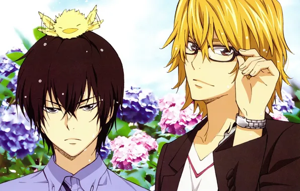 Очки, пиджак, art, гортензия, челка, два парня, Katekyo Hitman Reborn!, птенчик