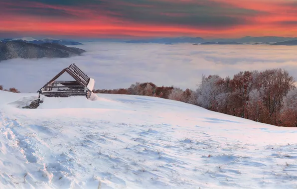 Картинка зима, облака, деревья, туман, строения, сопки