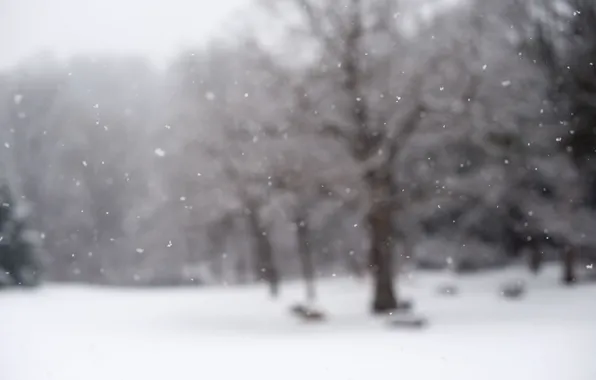 Картинка зима, снег, снежинки, природа, фокус