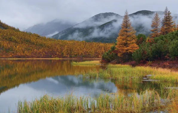 Картинка осень, трава, облака, деревья, пейзаж, горы, природа, туман