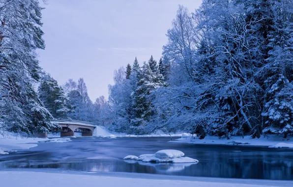 Картинка зима, вода, снег, деревья, пейзаж, природа, пруд, парк