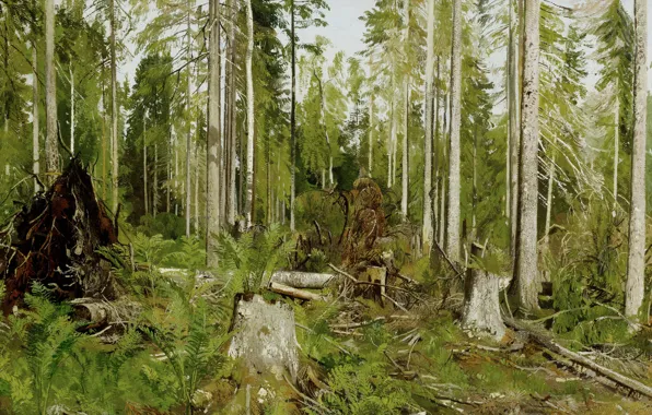 Картинка деревья, заросли, картина, живопись, Шишкин, Сосновый лес