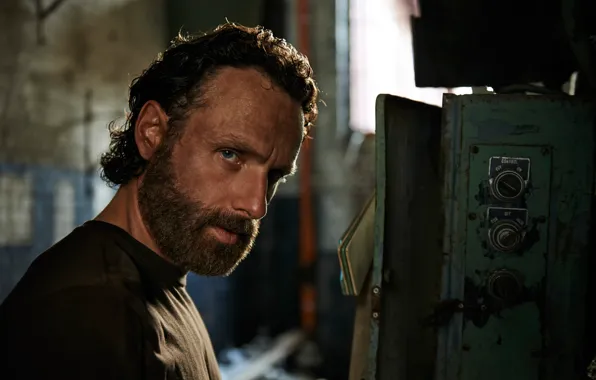 Картинка The Walking Dead, Andrew Lincoln, роль, Season-5