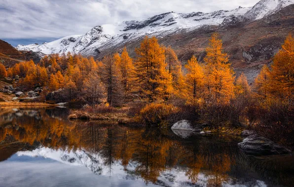 Осень, лес, снег, горы, озеро, отражение, берег, склоны