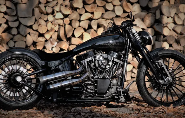 Картинка мотоцикл, байк, harley davidson