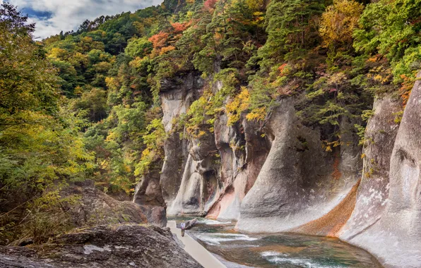 Картинка осень, лес, солнце, деревья, река, камни, скалы, Япония