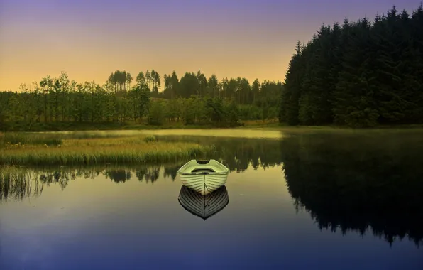 Картинка лес, озеро, рассвет, лодка