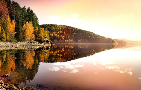 Картинка осень, листья, вода, деревья, пейзаж, закат, природа, озеро