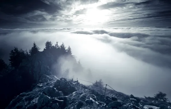 Картинка лес, облака, скалы
