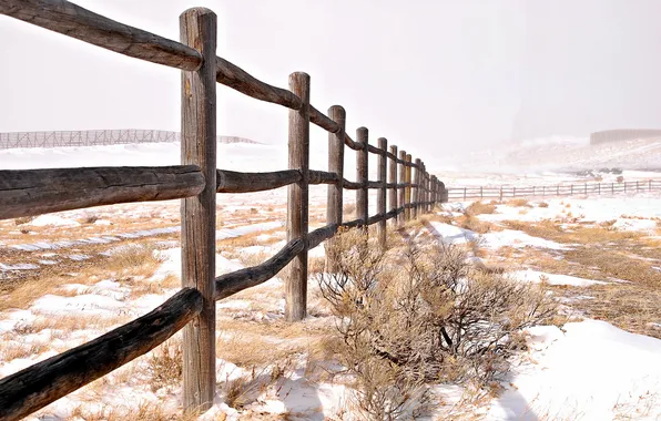 Поле, пейзаж, забор