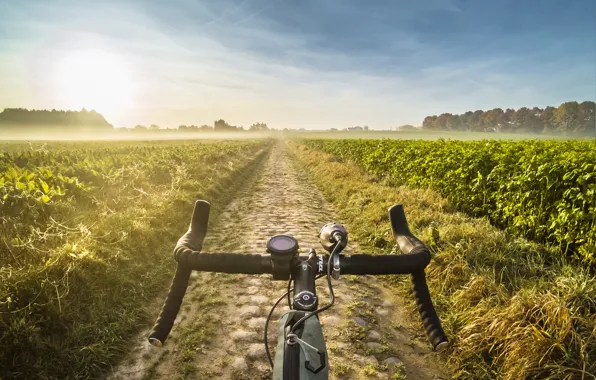 Дорога, поле, велосипед, туман, спорт, утро, road bike, дорожник