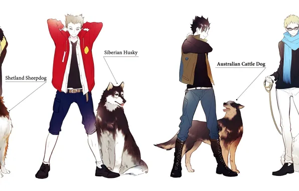 Аниме, арт, парни, волейбол, Haikyuu!!