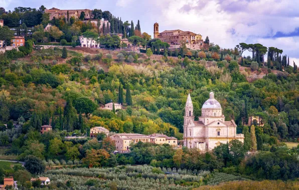 Деревья, пейзаж, дома, Италия, Тоскана, Montepulciano