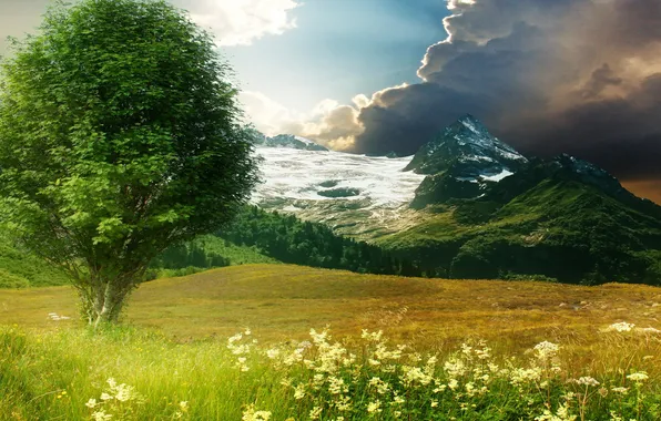 Картинка поле, лето, небо, трава, горы, природа, дерево