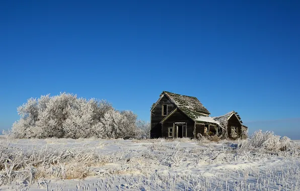 Картинка зима, поле, пейзаж, дом