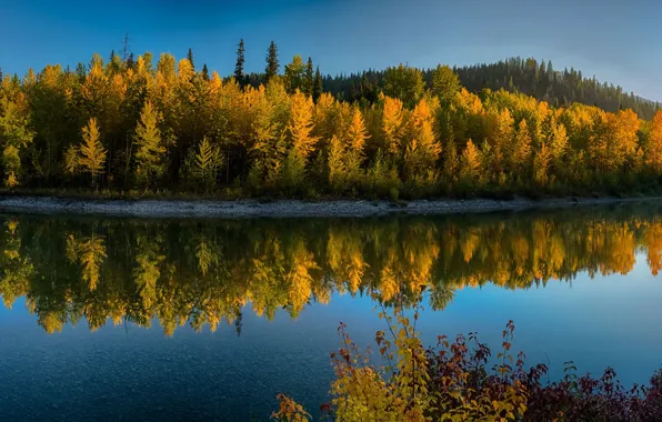 Осень, лес, вода, солнце, деревья, горы, отражение, река