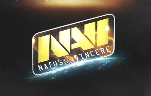 Games, Dota, Natus Vincere, CS:GO, Navi