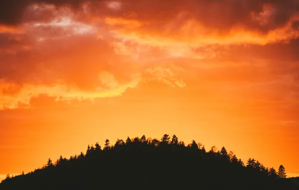 Canada, landscape, nature, dusk, outdoors, Saint John, Happy Little Trees, New Brunswick