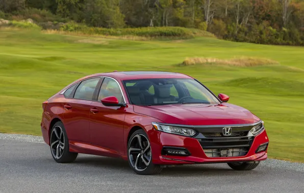 Красный, газон, Honda, Accord, седан, 2018, четырёхдверный, 2.0T Sport