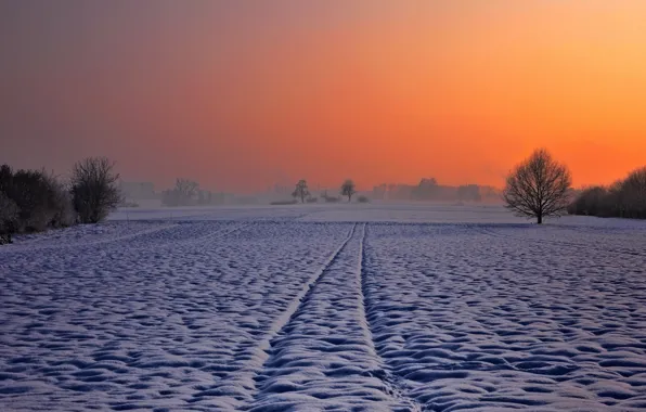 Картинка зима, поле, ночь