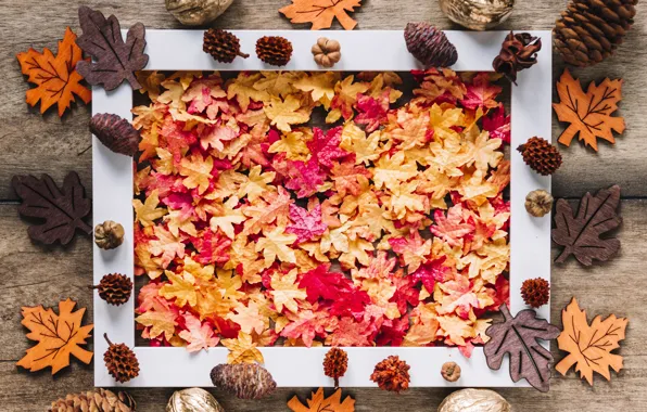 Картинка осень, листья, фон, дерево, доски, colorful, орехи, клен
