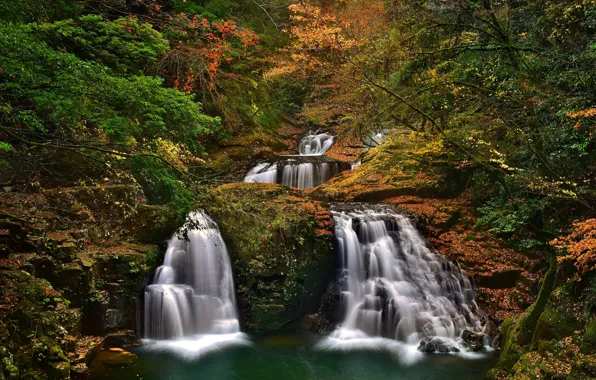 Картинка осень, лес, деревья, Япония, Japan, водопады, каскад, Набари