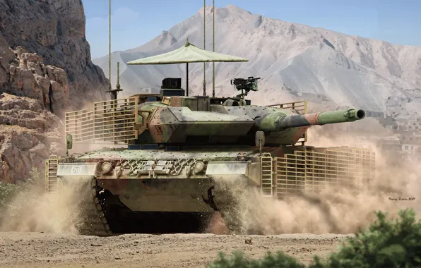 Канада, танк, Валерий Петелин, Canadian Leopard 2A6M CAN