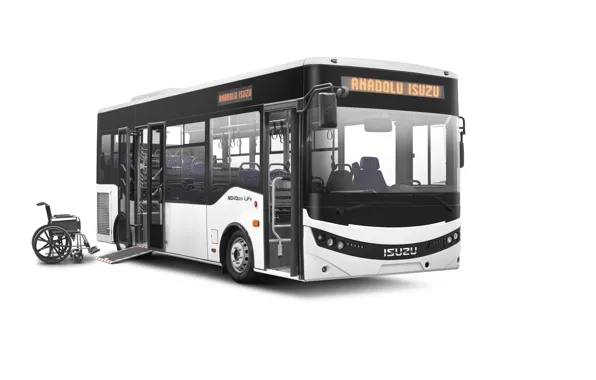 Bus, coach, Isuzu, public, Novo Citi Life