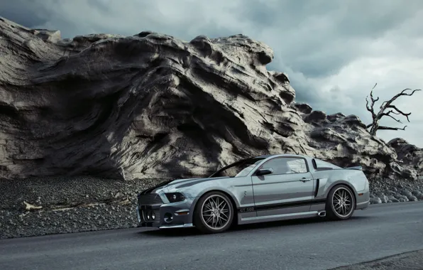 Картинка мустанг, суперкар, Mustang GT 500